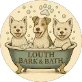Sarah Jarvis Avatar